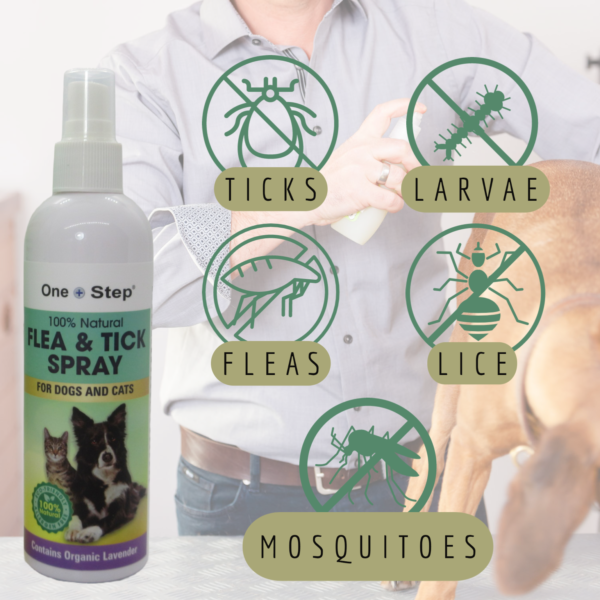 flea and tick spray fleas ticks image