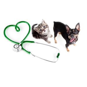 Pet Health and Pharmacy